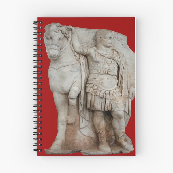 Item preview, Relief Sculpture Of Imperial Prince Diokouros Cut Out designed and sold by taiche.