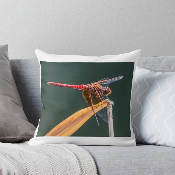 Item preview, Dragonfly. designed and sold by Steve Mills.