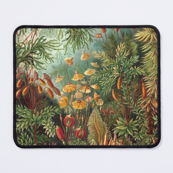 Artikelvorschau, Vintage Pflanzen dekorative Naturmalerei Illustration Artwork entworfen und verkauft von livianasgifts.