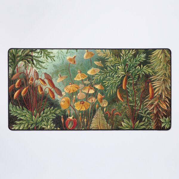 Item preview, Plantas vintage Naturaleza decorativa Pintura Ilustración Obra designed and sold by livianasgifts.