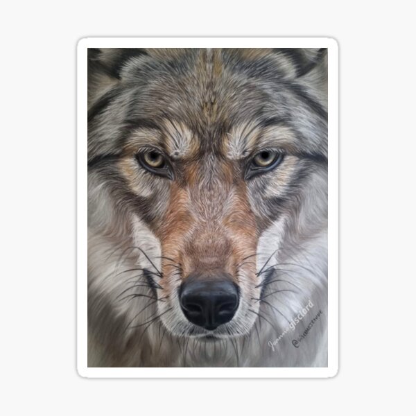 Portrait of a wolf in dry pastels Sticker