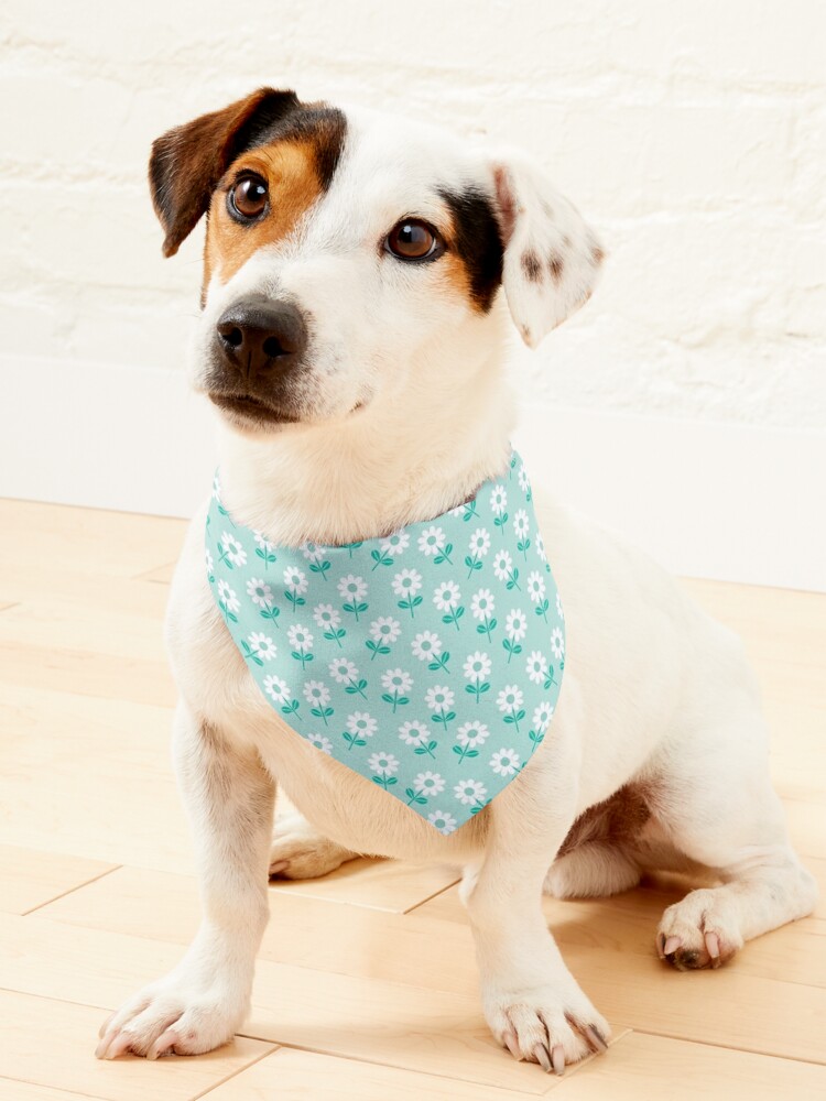 Spring bandana, dog accessories