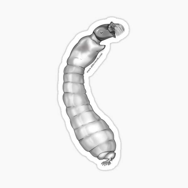 MZB Guide: Simuliidae Sticker