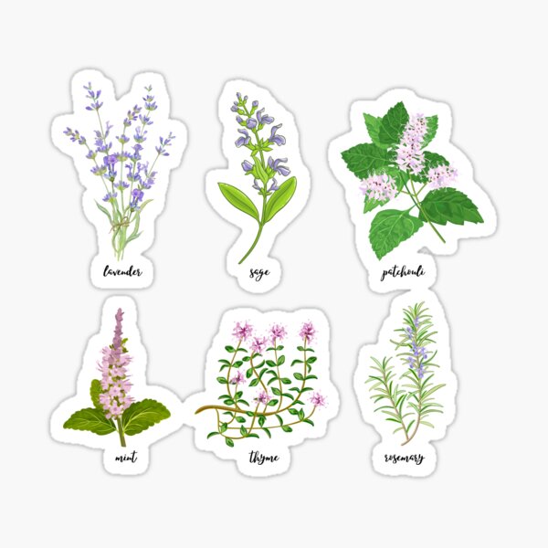 Item preview, Herb garden lover t-shirt designed and sold by Jaruart.