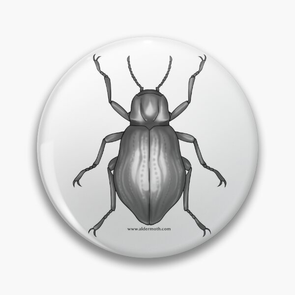 Item preview, MZB Guide: Coleoptera designed and sold by Alder's Art Shop.