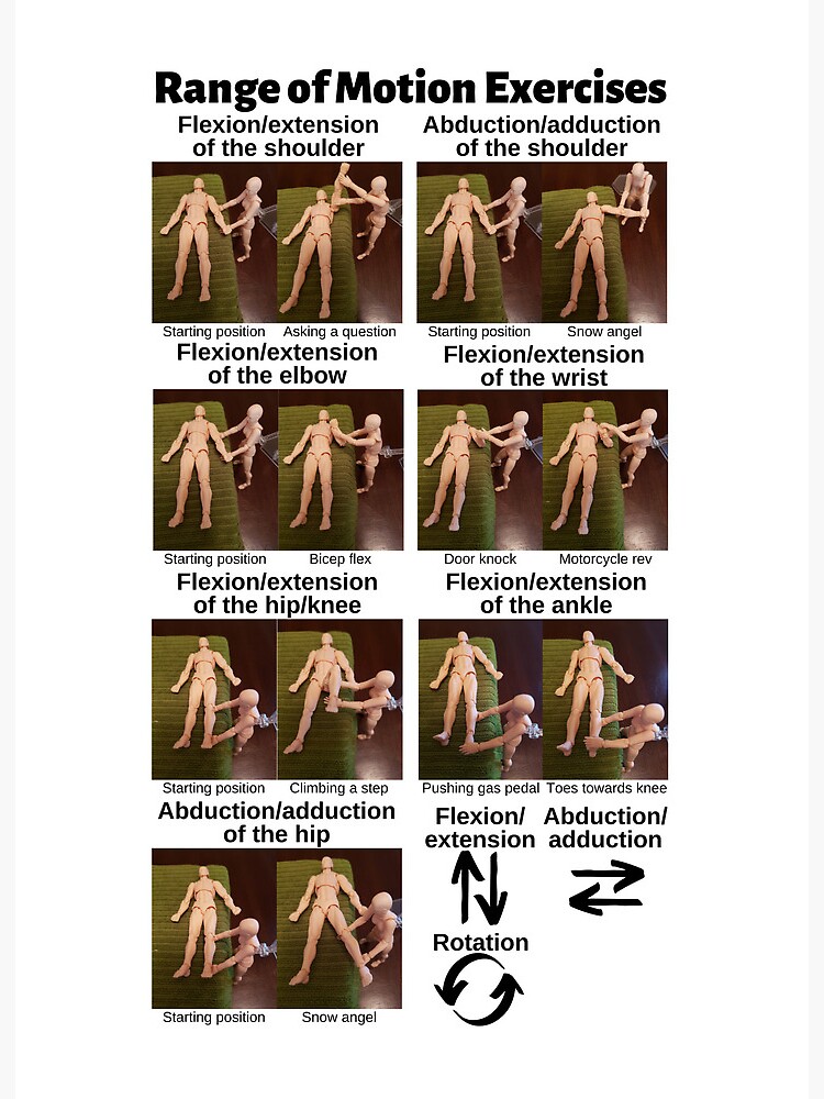 7 Seated Resistance Band Exercises for Seniors Art Board Print for Sale by  Caregiverology