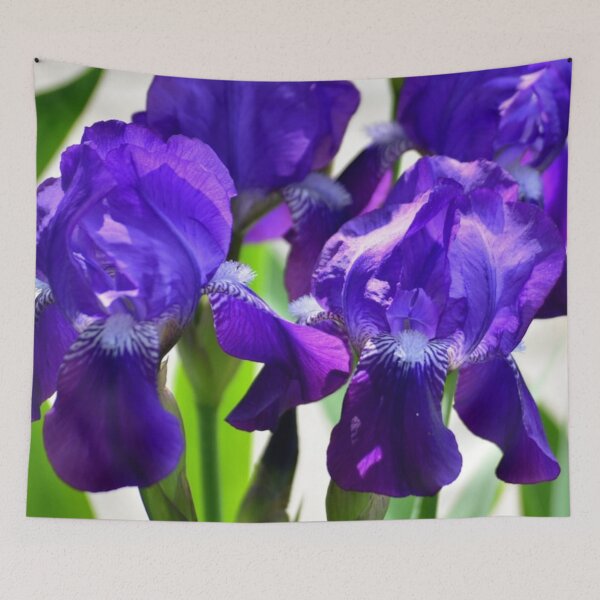 Item preview, Purple Irises Iris Flower  designed and sold by mwagie.