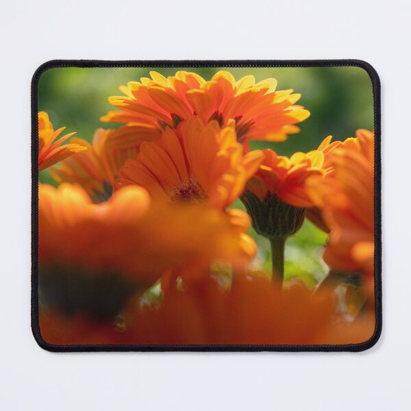 Item preview, Naranja brillante designed and sold by ramelsen.