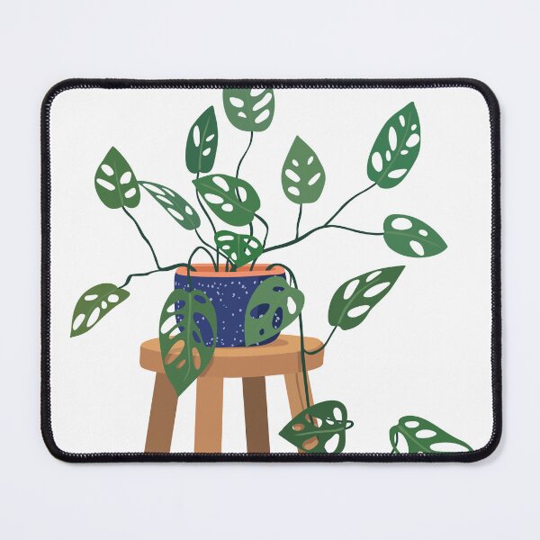 Item preview, Monstera Adansonii Plant On Stool designed and sold by zykydesigns.