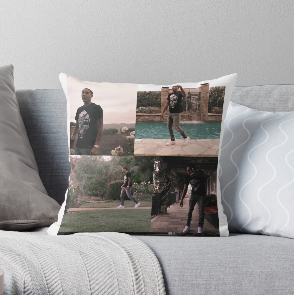 https://ih1.redbubble.net/image.358970310.0165/throwpillow,small,1000x-bg,f8f8f8-c,0,200,1000,1000.u2.jpg