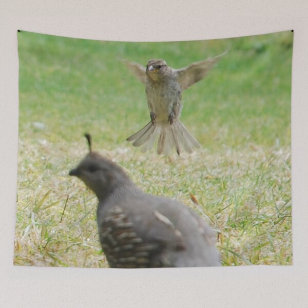 Item preview, Hovering designed and sold by lizdomett.