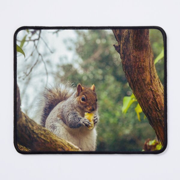 Item preview, Bushy tailed squirrel designed and sold by SzendeB.