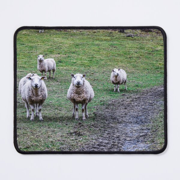 Item preview, Flock to the field designed and sold by SzendeB.