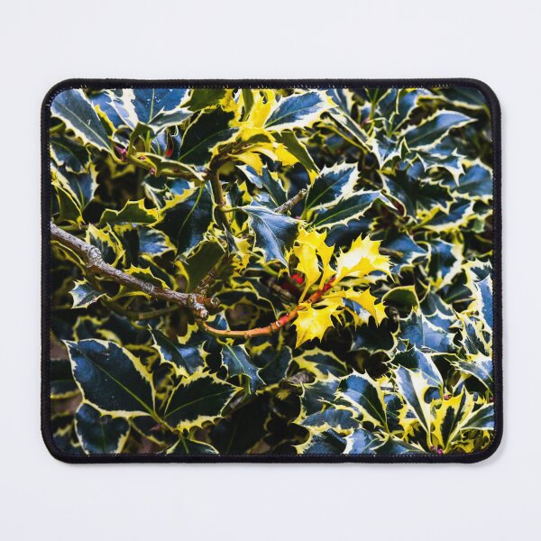 Item preview, Argentea Marginata designed and sold by SzendeB.