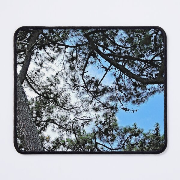 Item preview, Mediterranean Pines Trees Branches Canopy designed and sold by Anna Lemos.