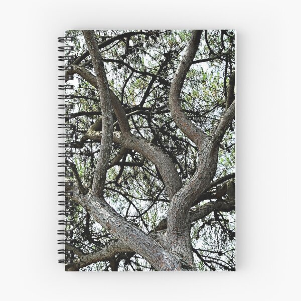 Item preview, Mediterranean Pine Tree Branches Canopy designed and sold by Anna Lemos.