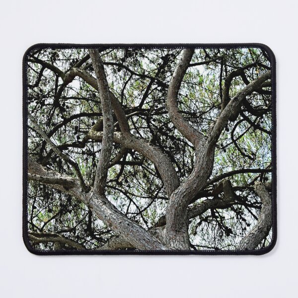 Item preview, Mediterranean Pine Tree Branches Canopy designed and sold by Anna Lemos.