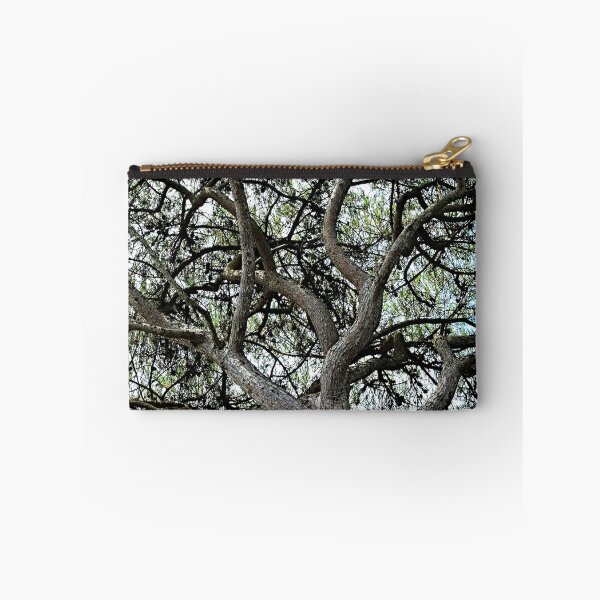 Item preview, Mediterranean Pine Tree Branches Canopy designed and sold by Anna Lemos.
