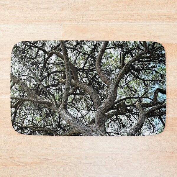Item preview, Mediterranean Pine Tree Branches Canopy designed and sold by Anna Lemos.
