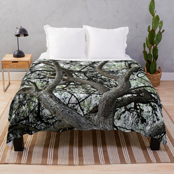 Item preview, Mediterranean Pine Tree Branches Canopy designed and sold by Anna Lemos.