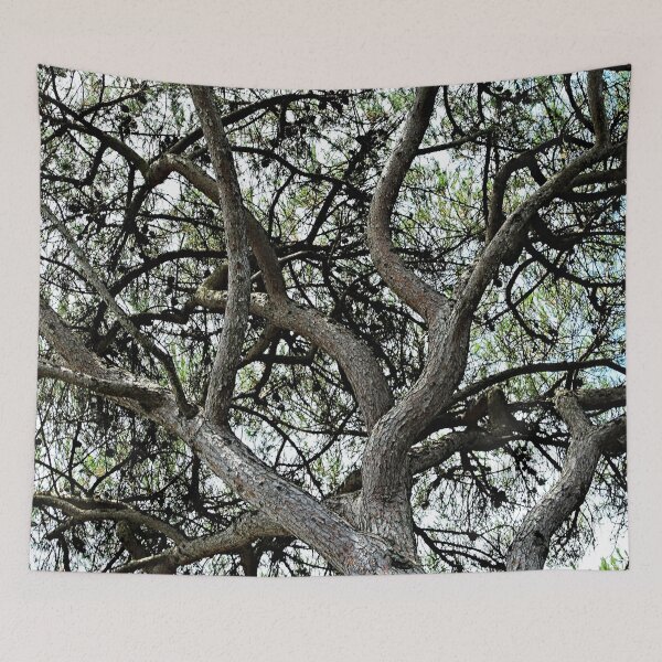 Item preview, Mediterranean Pine Tree Branches Canopy designed and sold by Anna Lemos.