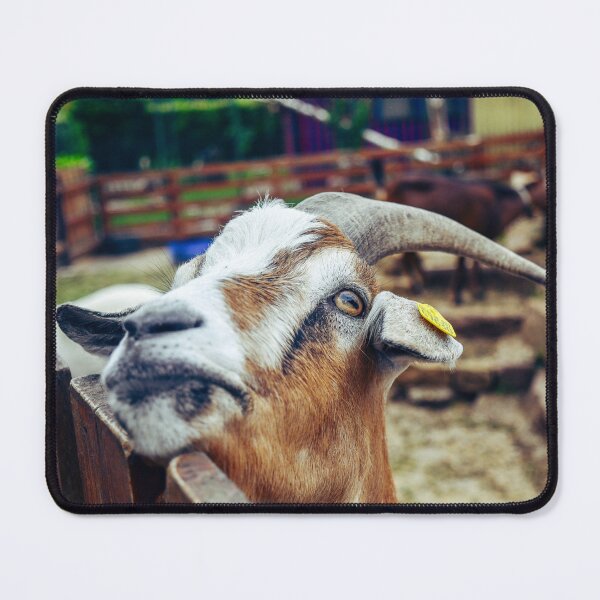 Item preview, Goat designed and sold by SzendeB.