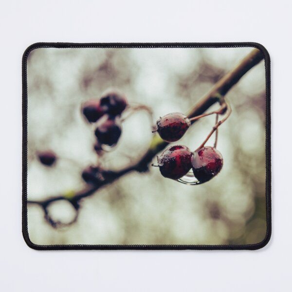 Item preview, Cornelian cherry designed and sold by SzendeB.
