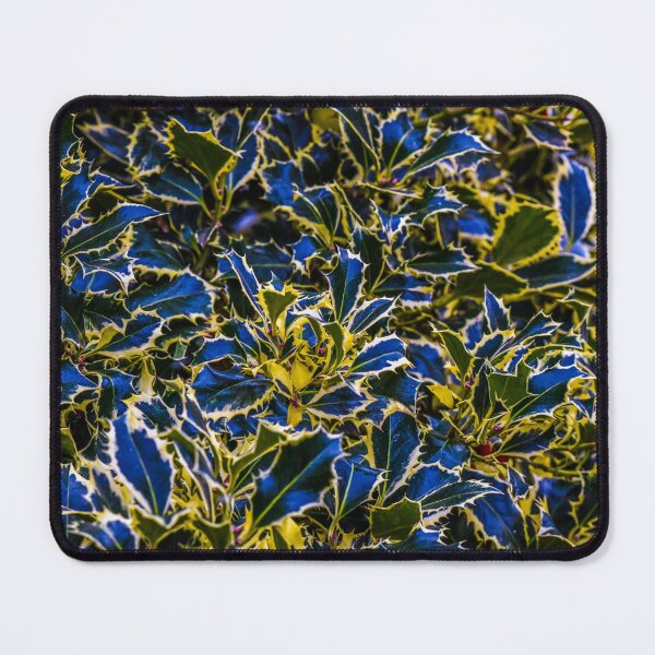 Item preview, Argentea Marginata designed and sold by SzendeB.