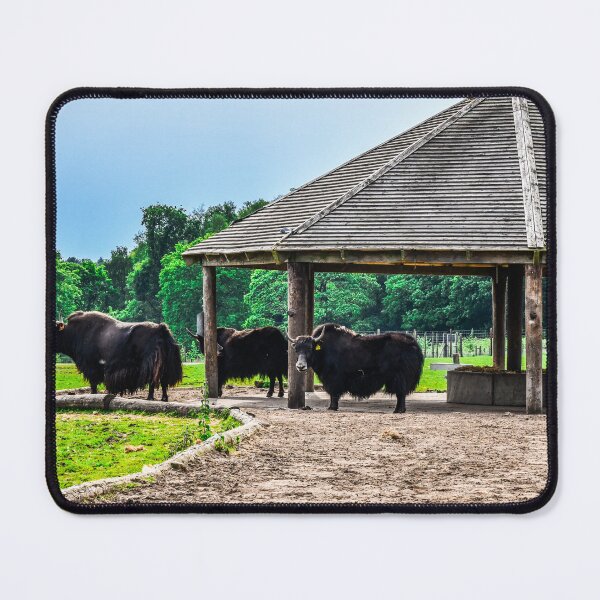 Item preview, Buffalo designed and sold by SzendeB.