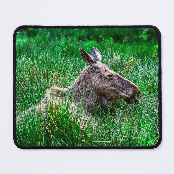 Item preview, European Moose designed and sold by SzendeB.