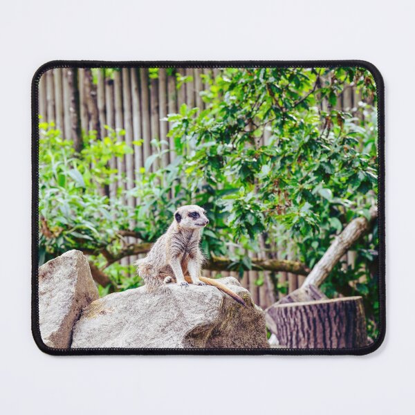 Item preview, Meerkats designed and sold by SzendeB.