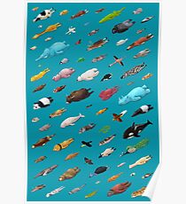 Sleeping Animals Poster
