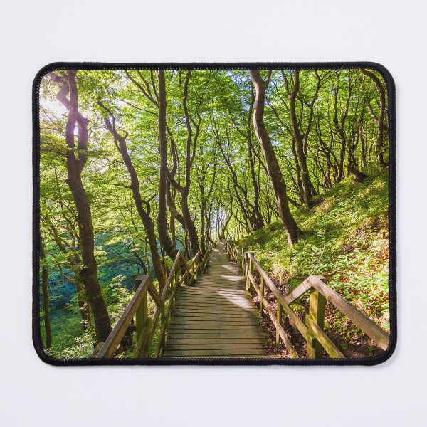 Item preview, Forest at Møns Klint on the island of Møn in Denmark designed and sold by dieterich.