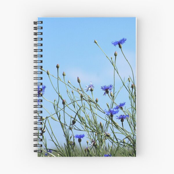 Item preview, rosy plants hug blue sky designed and sold by ILA-DODO.