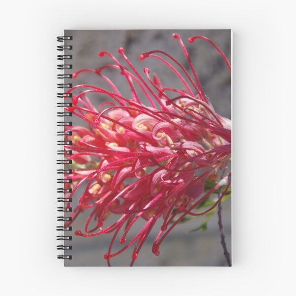 Item preview, Red Grevillea designed and sold by lezvee.