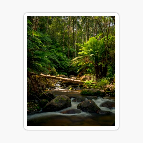 Item preview, Toorongo River, Yarra Valley designed and sold by susanzentay.
