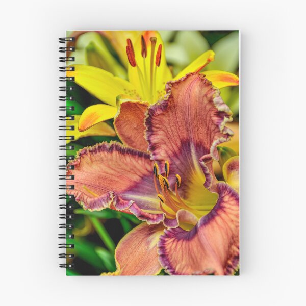 Item preview, Daylily "Mildred Mitchell" designed and sold by Michael Cummings.