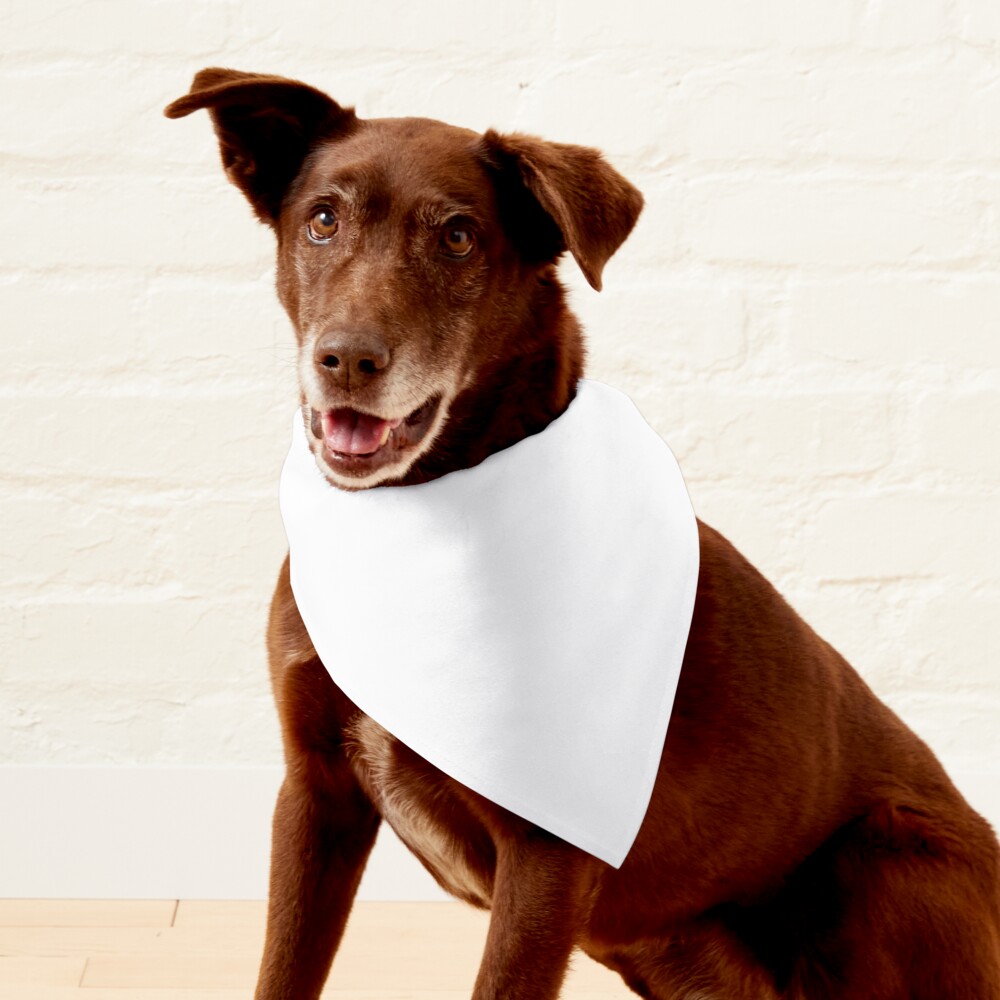 Plain white shop dog bandana