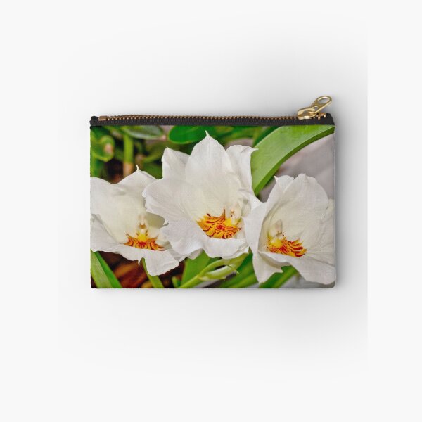 Item preview, Pansy Orchids designed and sold by rom01.