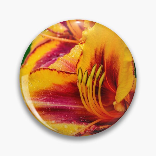 Item preview, Daylily "Persian Melon" designed and sold by Michael Cummings.