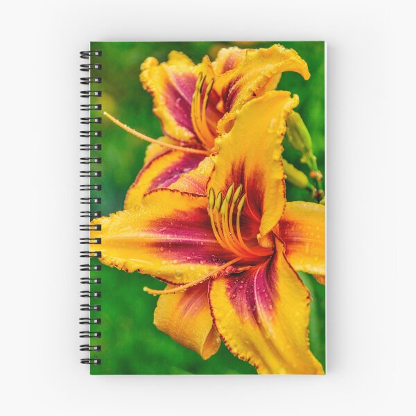 Item preview, Daylily "Persian Melon" designed and sold by Michael Cummings.