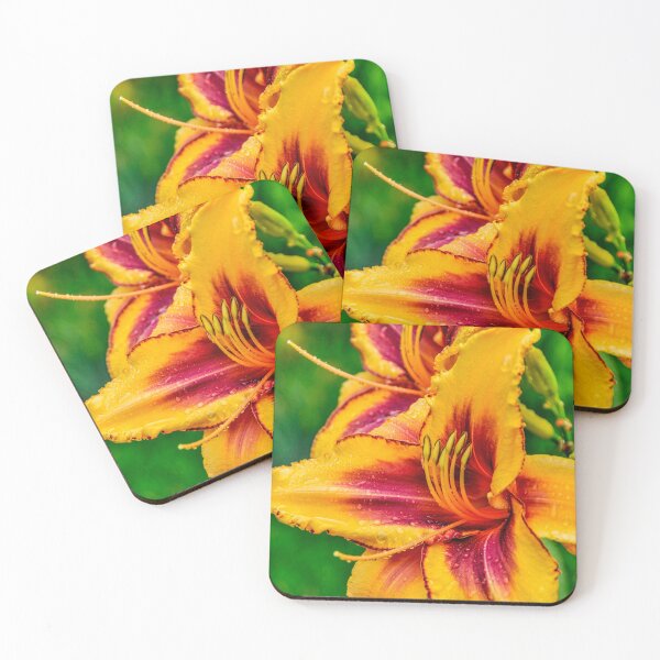 Item preview, Daylily "Persian Melon" designed and sold by Michael Cummings.