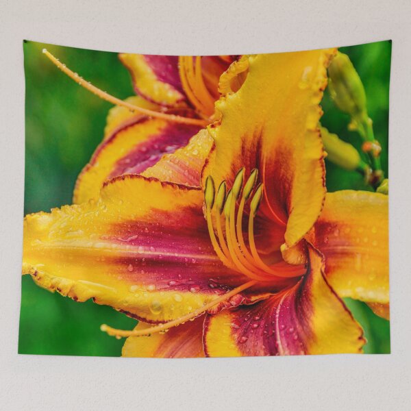 Item preview, Daylily "Persian Melon" designed and sold by Michael Cummings.