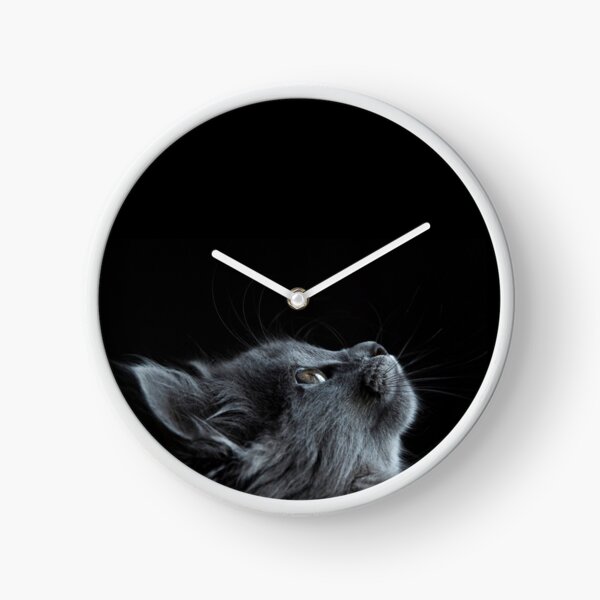 Item preview, Cute gray cat - Photography designed and sold by Crazybugs.