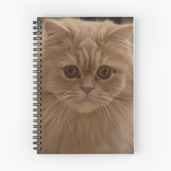Item preview, Persian cat designed and sold by Jagged-designs.