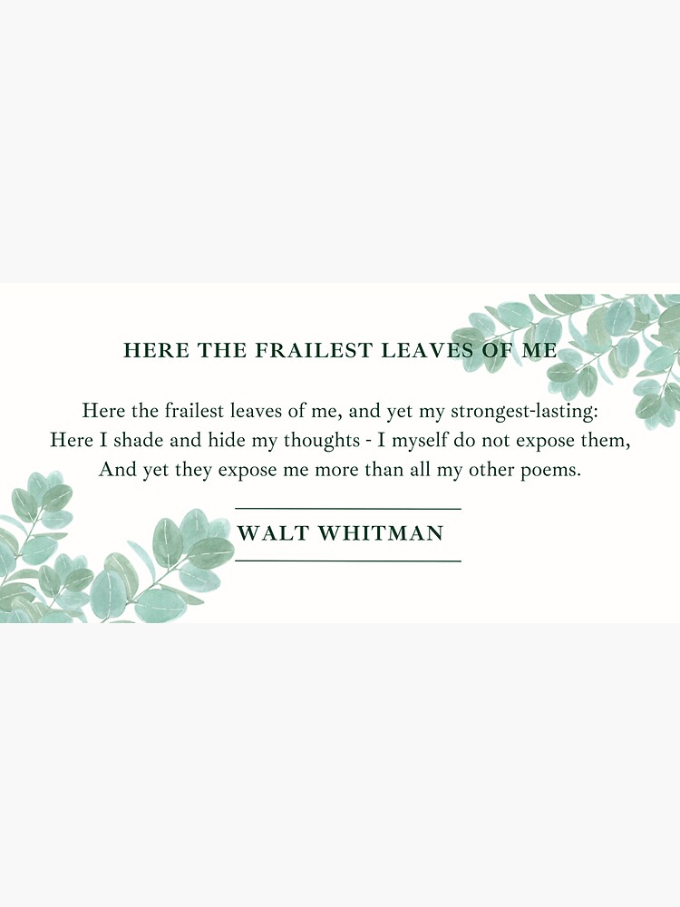 walt whitman calamus