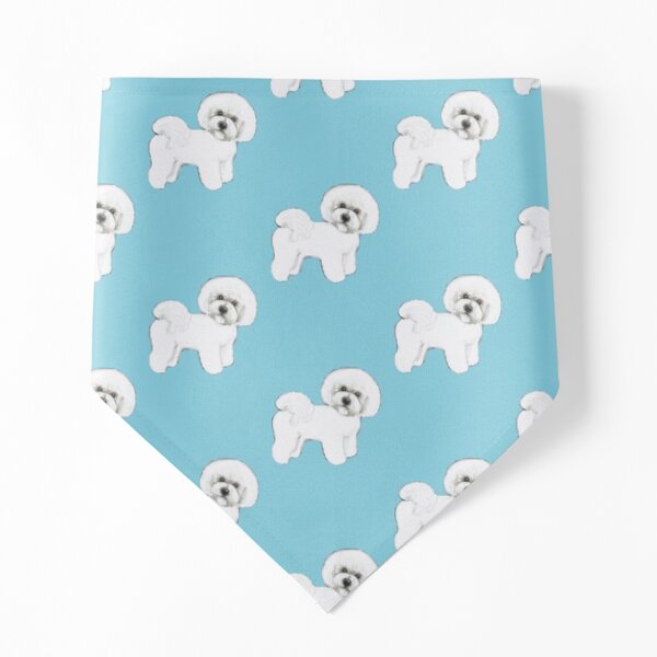 Bichon Frise dog on blue Pet Bandana