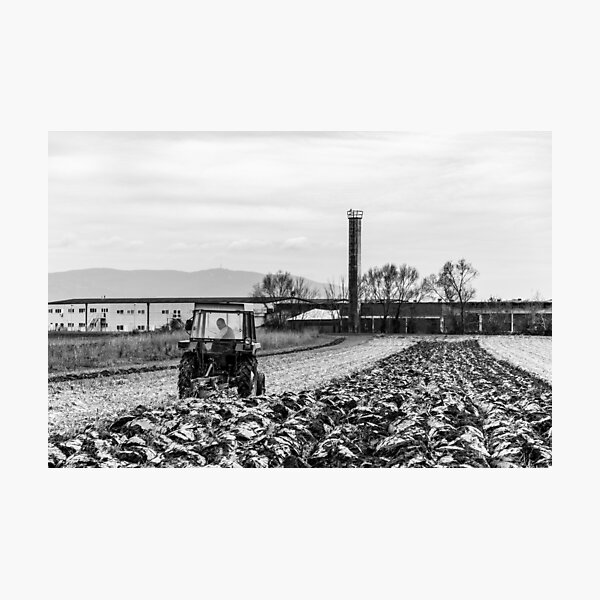 Farmer And Tractor Photographic Print