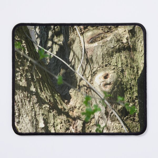 Item preview, Tree Turtle designed and sold by Shulie1.