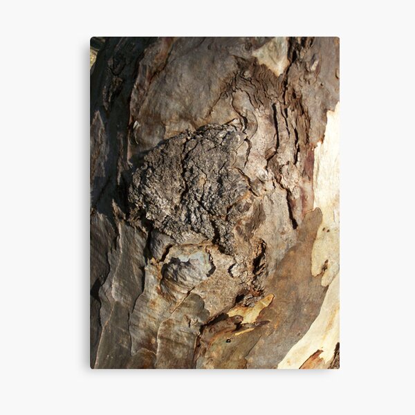 Bark Canvas Print